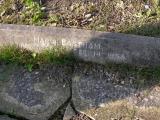 image of grave number 172159